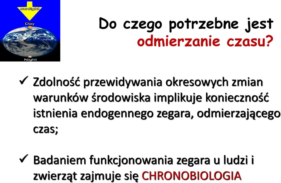 implikuje konieczność istnienia endogennego zegara,