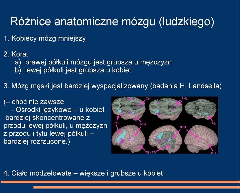 Mózg męski jest bardziej wyspecjalizowany (badania H.