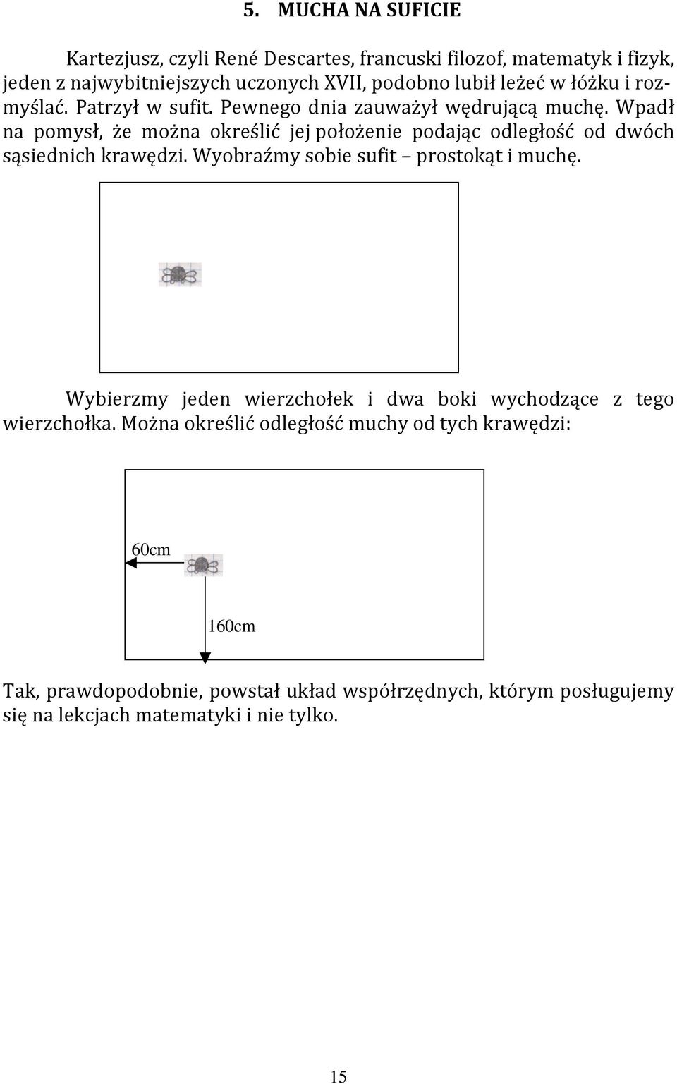 Wpadł na pomysł, że można określić jej położenie podając odległość od dwóch sąsiednich krawędzi. Wyobraźmy sobie sufit prostokąt i muchę.