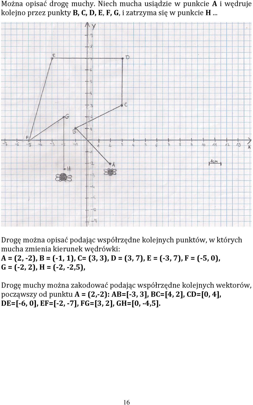 .. Drogę można opisać podając współrzędne kolejnych punktów, w których mucha zmienia kierunek wędrówki: A = (2, -2), B = (-1, 1), C=