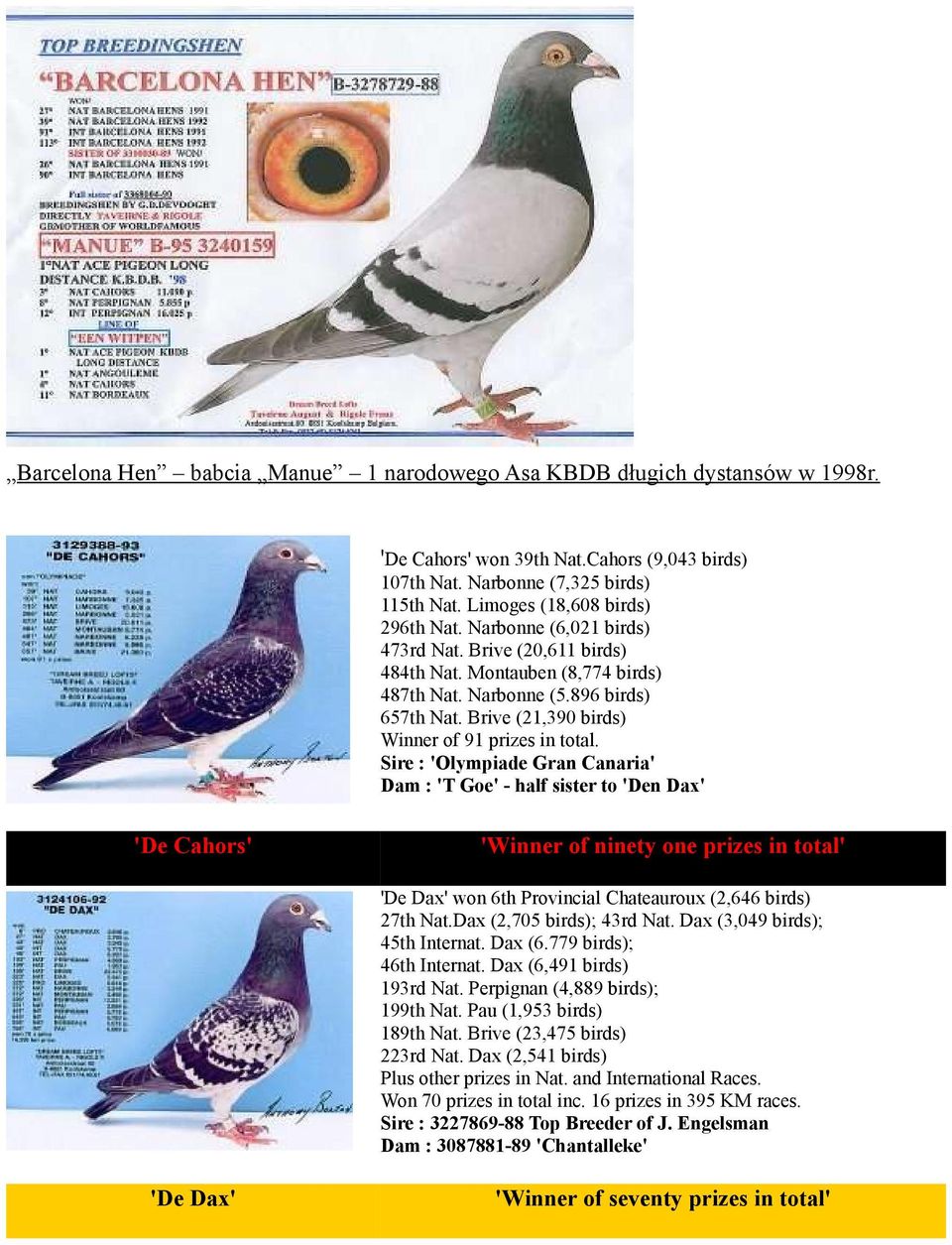Sire : 'Olympiade Gran Canaria' Dam : 'T Goe' - half sister to 'Den Dax' 'De Cahors' 'Winner of ninety one prizes in total' 'De Dax' won 6th Provincial Chateauroux (2,646 birds) 27th Nat.
