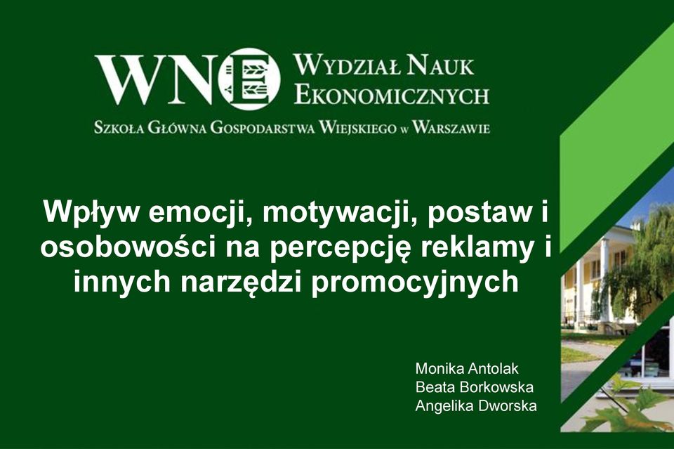 innych narzędzi promocyjnych Monika