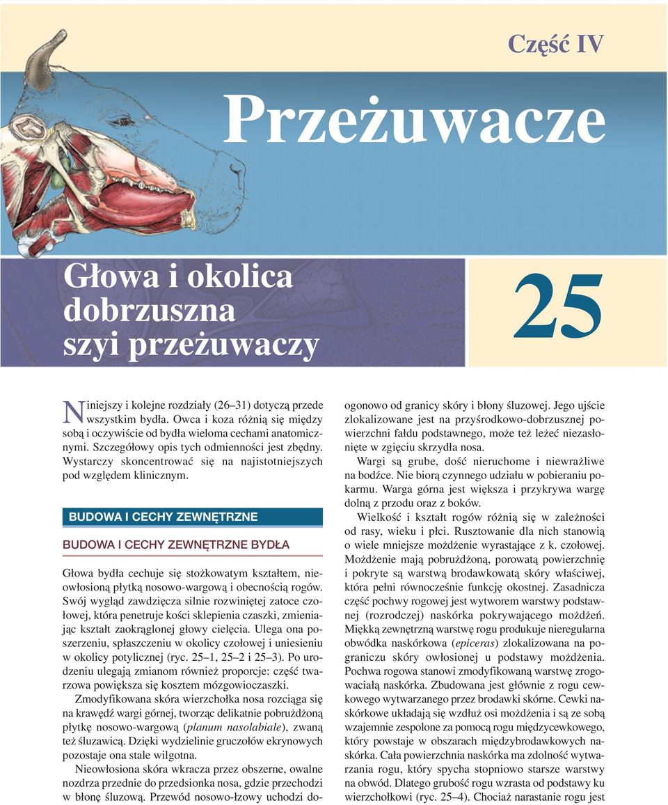 Wystarczy skoncentrować się na najistotniejszych pod względem klinicznym.