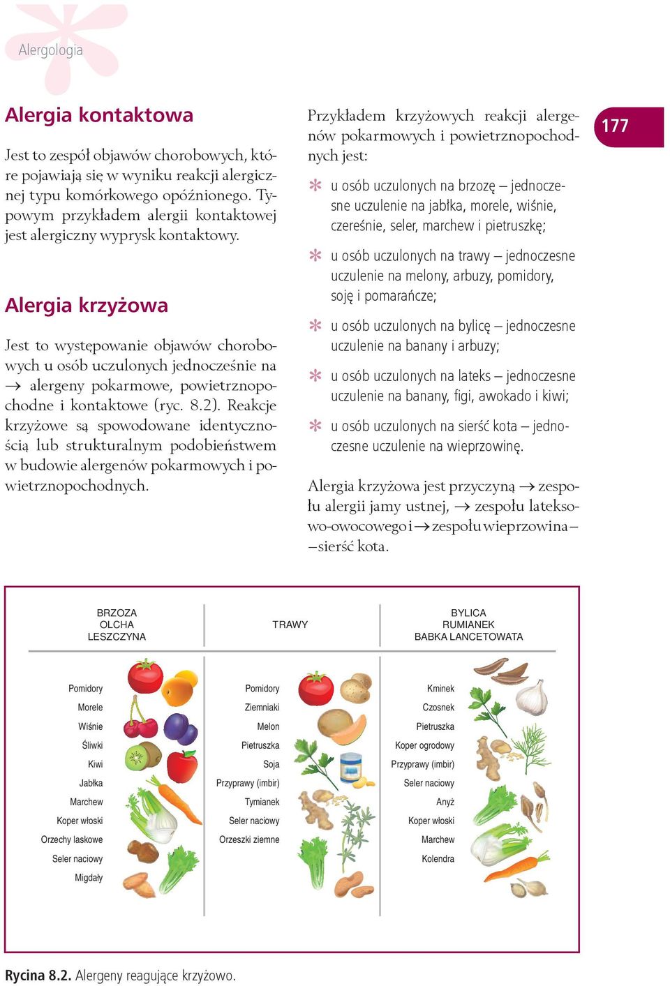 Przykładem krzyżowych reakcji alergenów pokarmowych i powietrznopochodnych jest: uczulonych na brzozę jednoczeusneosóbuczulenie na jabłka, morele, wiśnie, czereśnie, seler, marchew i pietruszkę; osób