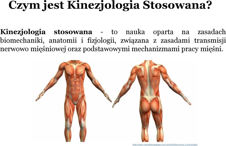anatomii i fizjologii, związana z zasadami transmisji nerwowo mięśniowej