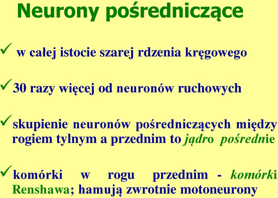 pośredniczących między rogiem tylnym a przednim to jądro