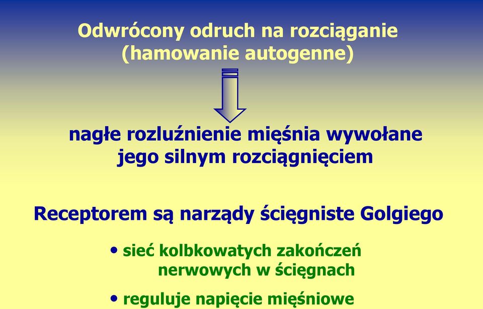 rozciągnięciem Receptorem są narządy ścięgniste Golgiego