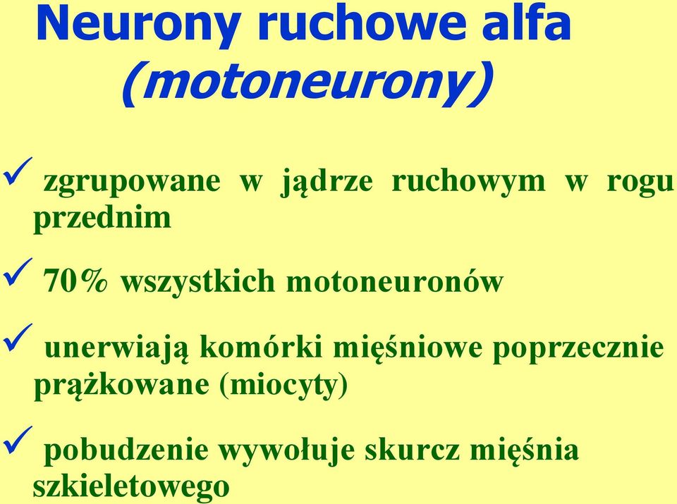 unerwiają komórki mięśniowe poprzecznie prążkowane