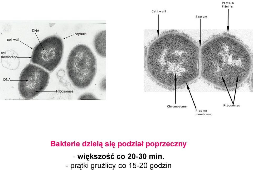 większość co 20-30 min.