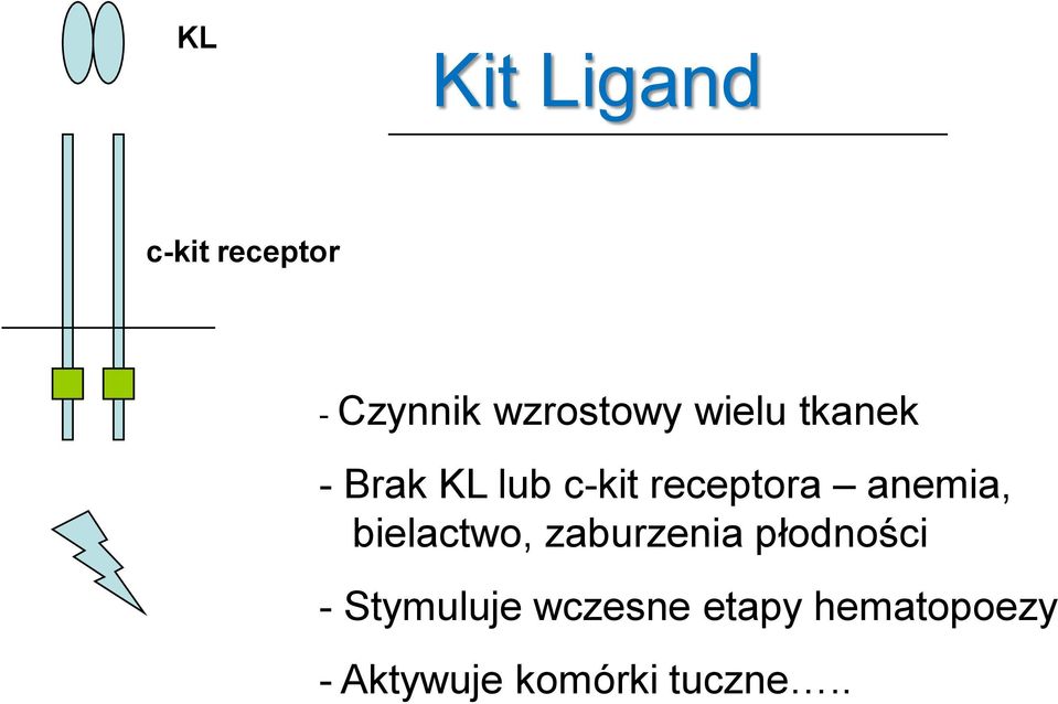 anemia, bielactwo, zaburzenia płodności -