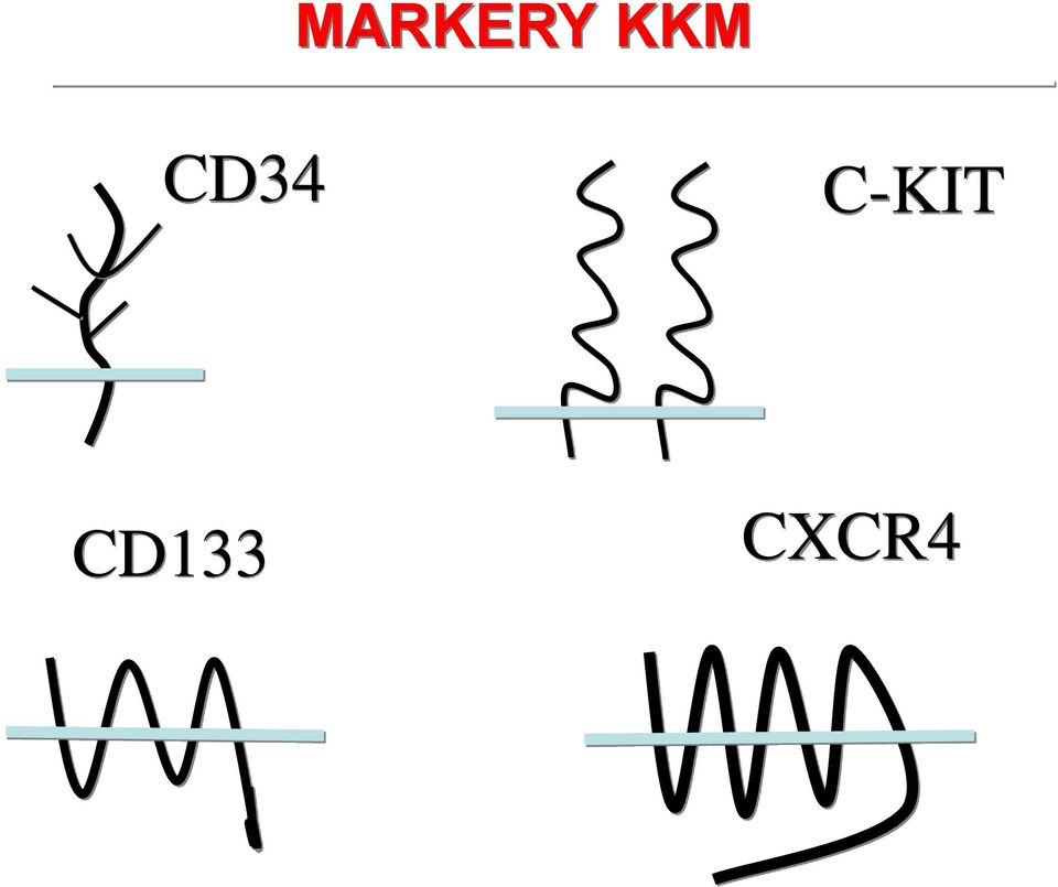 C-KIT