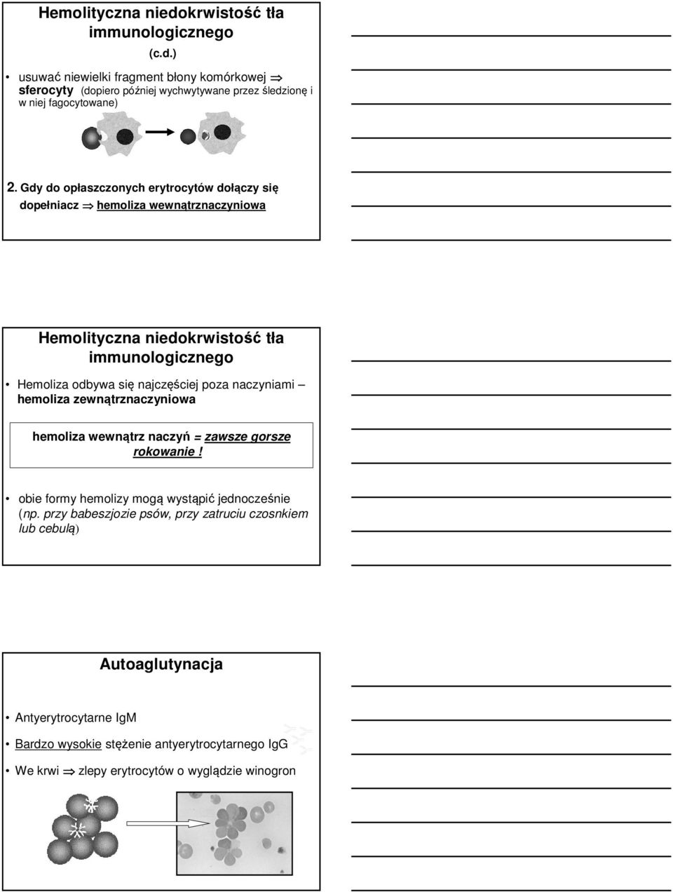 naczyniami hemoliza zewnątrznaczyniowa hemoliza wewnątrz naczyń = zawsze gorsze rokowanie! obie formy hemolizy mogą wystąpić jednocześnie (np.