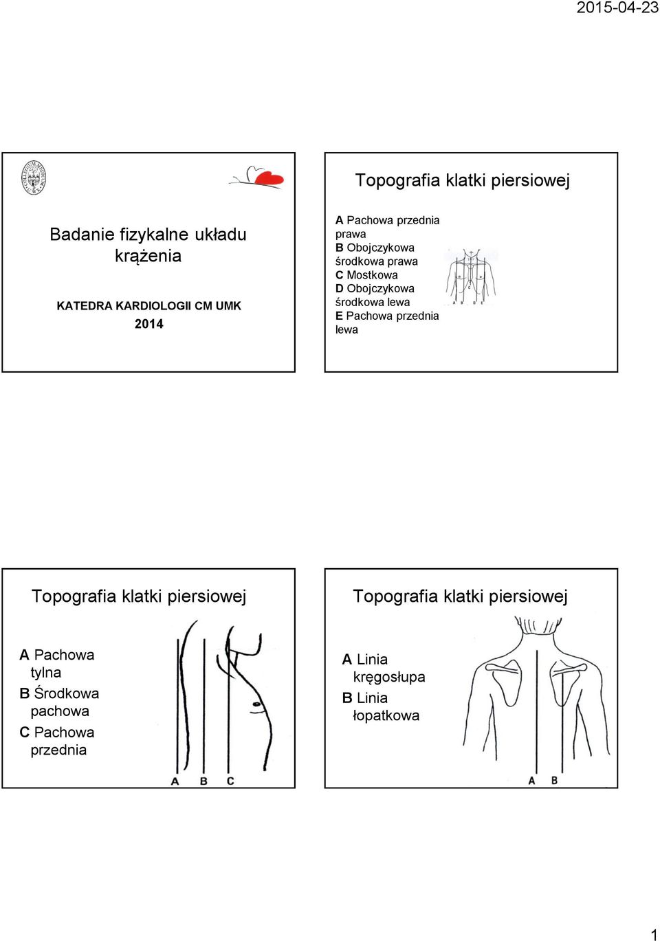 środkowa lewa E Pachowa przednia lewa Topografia klatki piersiowej Topografia klatki