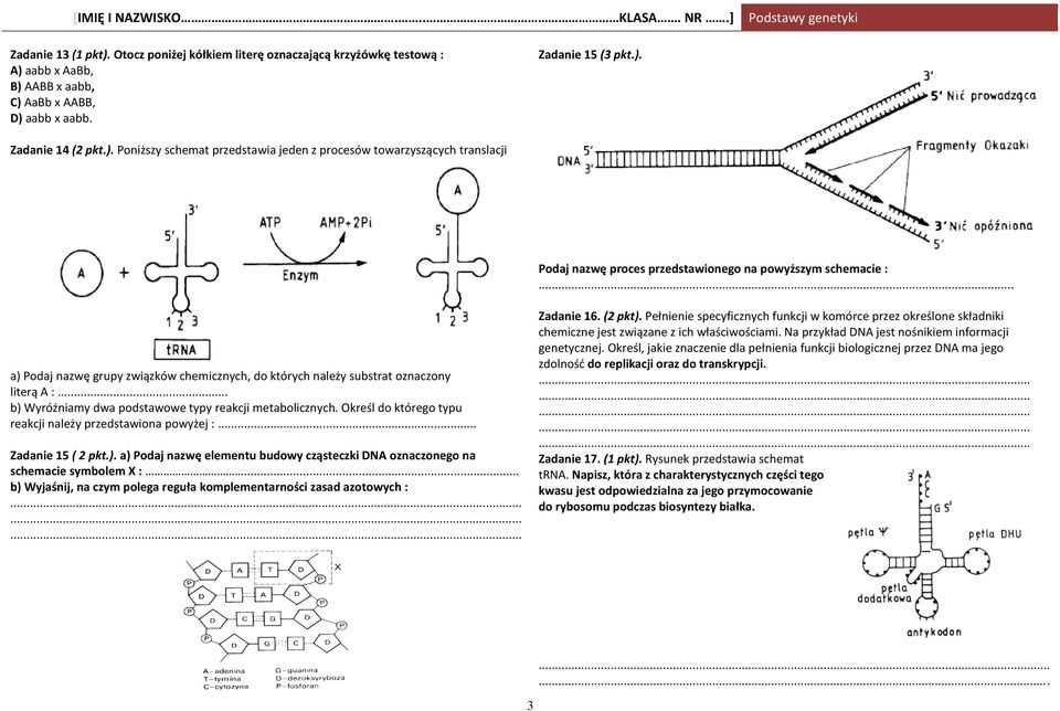 Określ do którego typu reakcji należy przedstawiona powyżej :... Zadanie 15 ( 2 pkt.). a) Podaj nazwę elementu budowy cząsteczki DNA oznaczonego na schemacie symbolem X :.