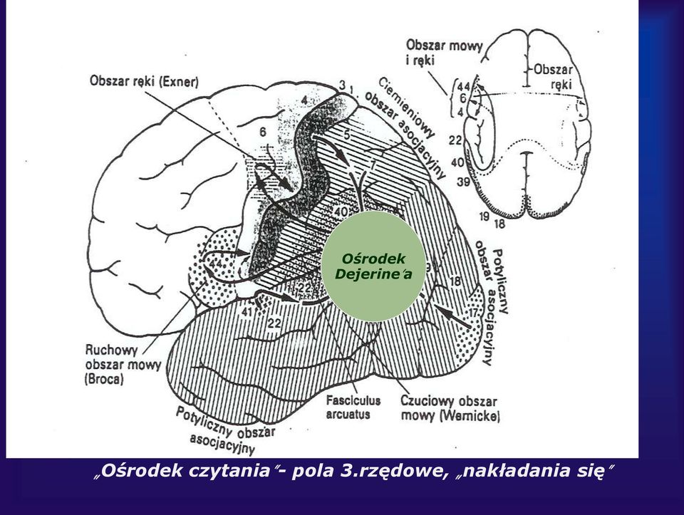 czytania - pola