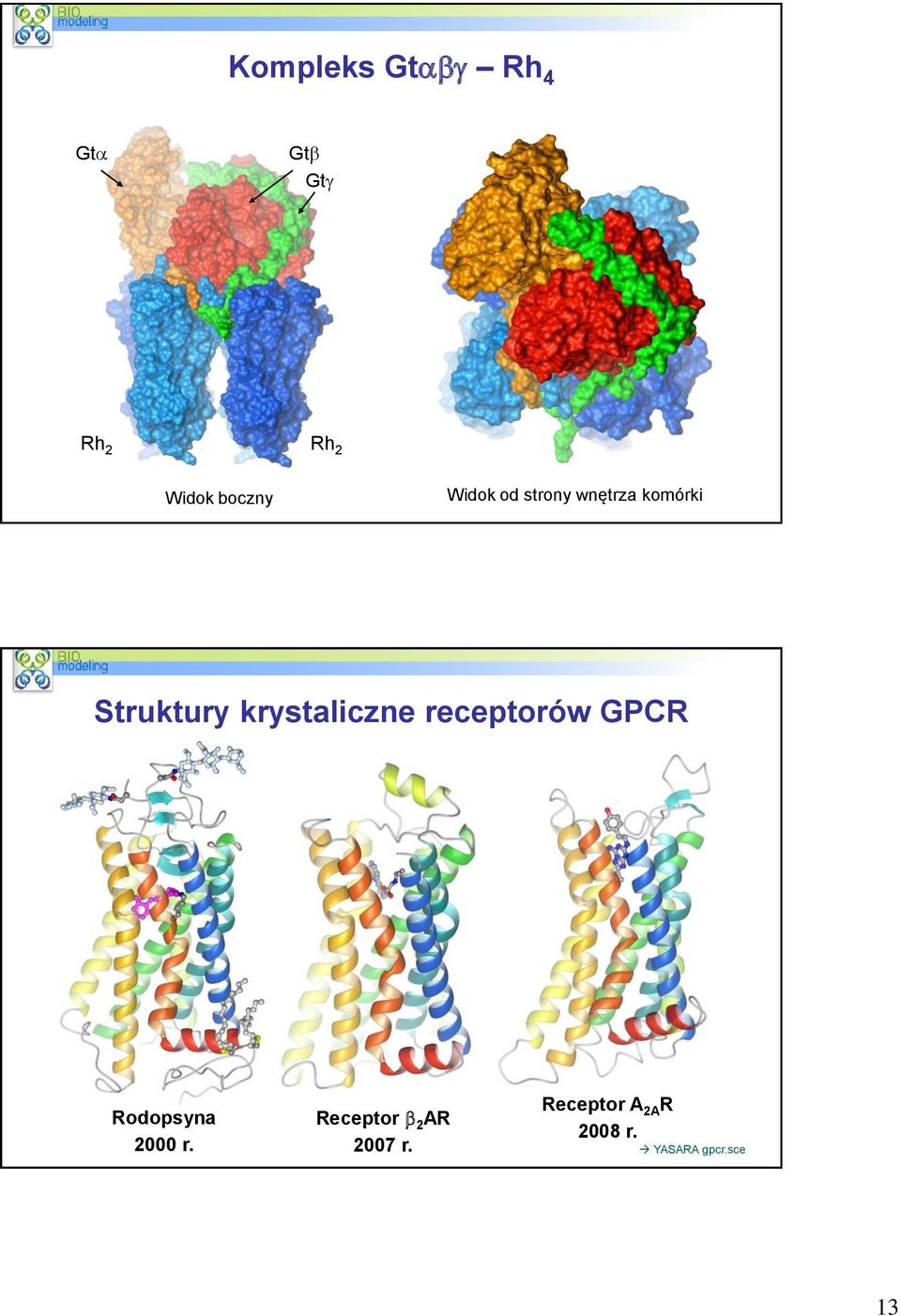 krystaliczne receptorów GPCR Rodopsyna 2000 r.