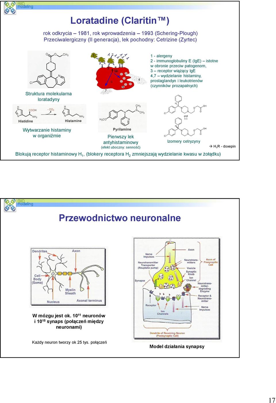 Wytwarzanie histaminy w organiźmie Pierwszy lek antyhistaminowy (efekt uboczny: senność) Izomery cetryzyny Blokują receptor histaminowy H 1, (blokery receptora H 2 zmniejszają wydzielanie