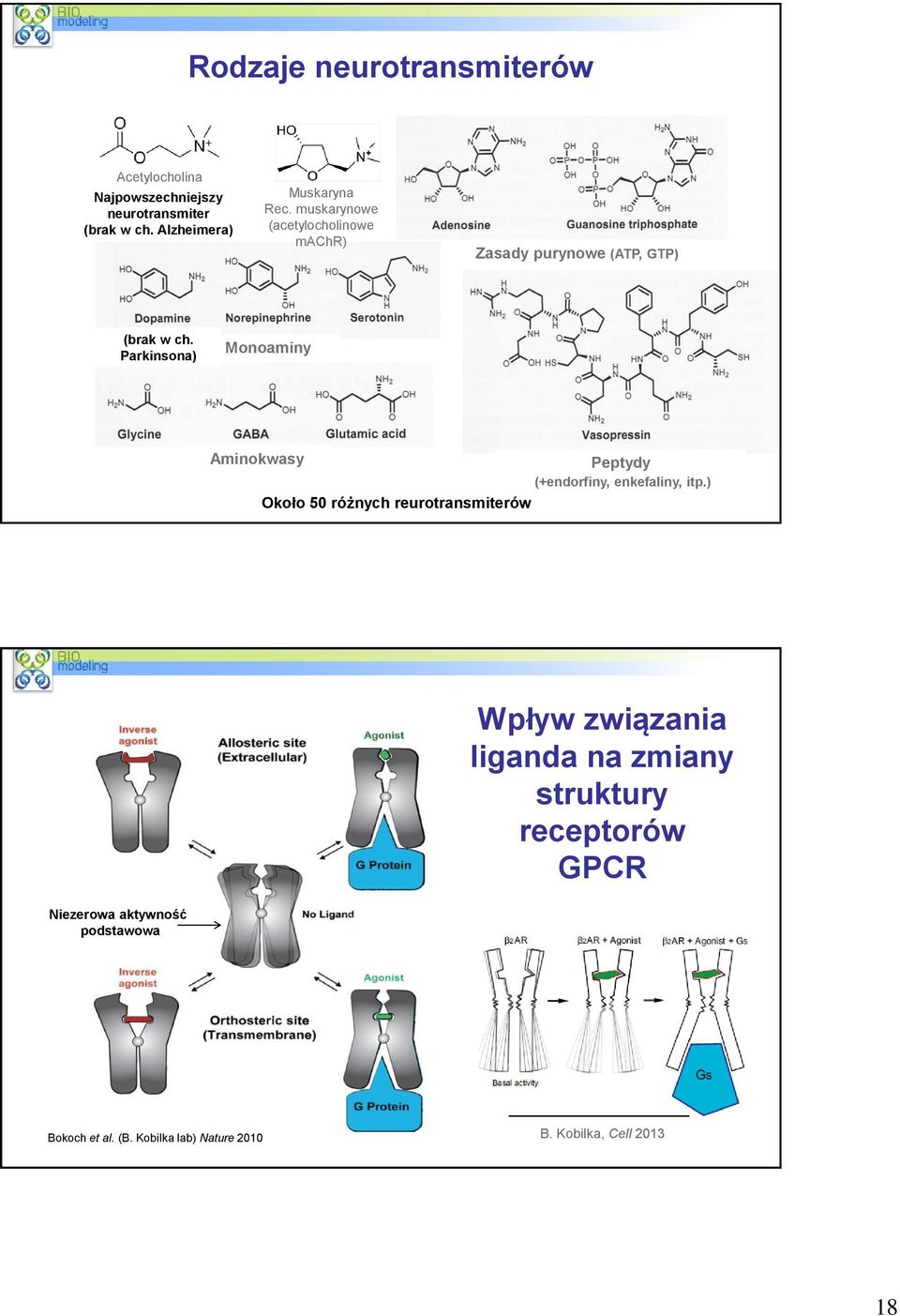 Parkinsona) Monoaminy Aminokwasy Peptydy (+endorfiny, enkefaliny, itp.