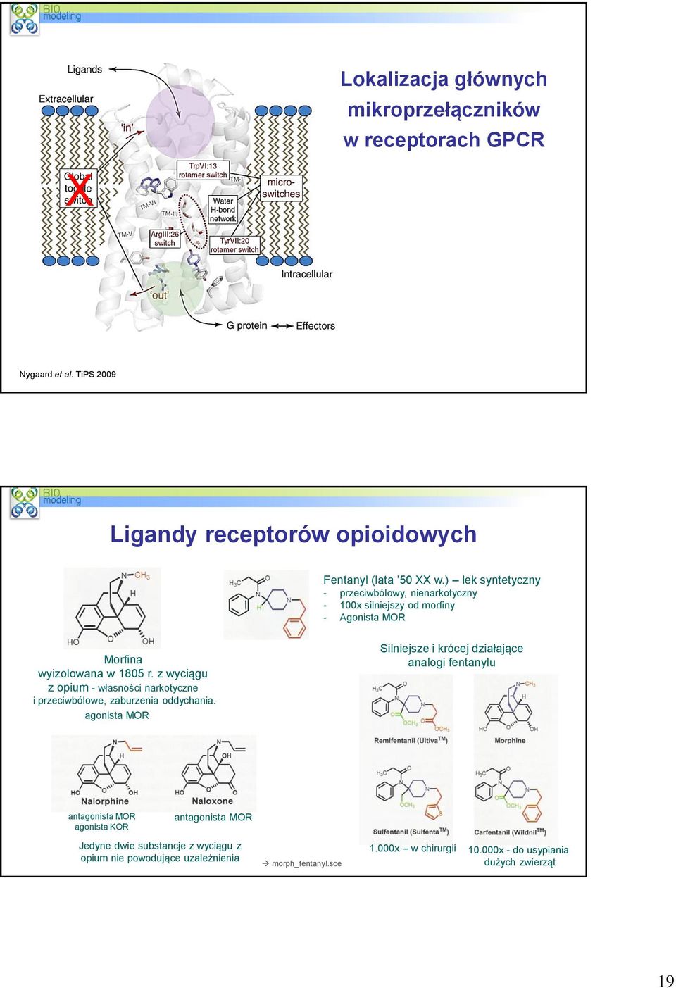 z wyciągu z opium - własności narkotyczne i przeciwbólowe, zaburzenia oddychania.