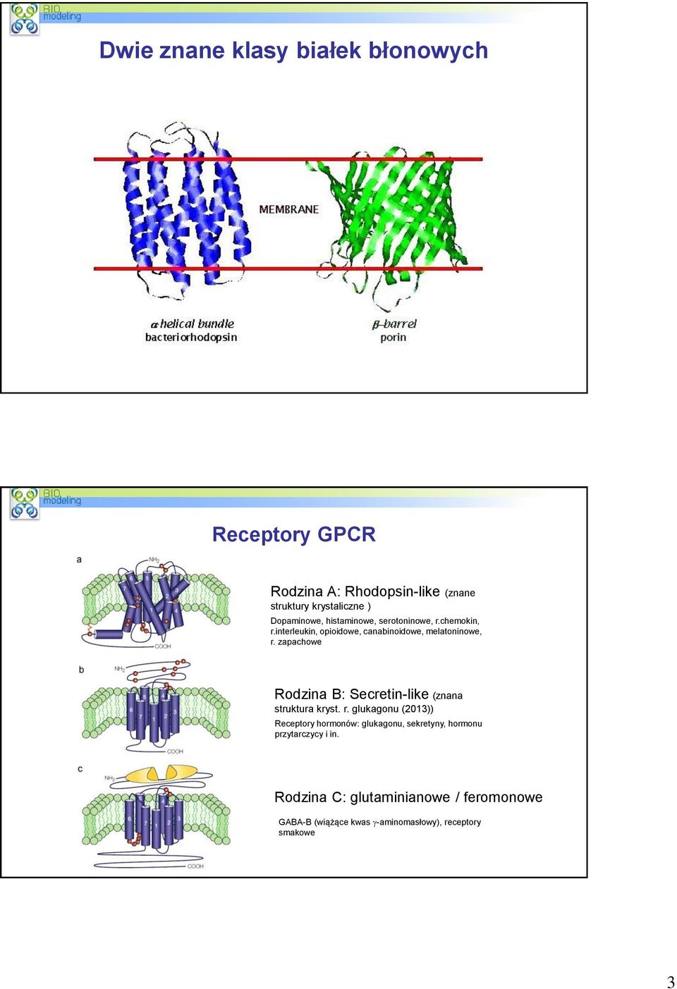 zapachowe Rodzina B: Secretin-like (znana struktura kryst. r.