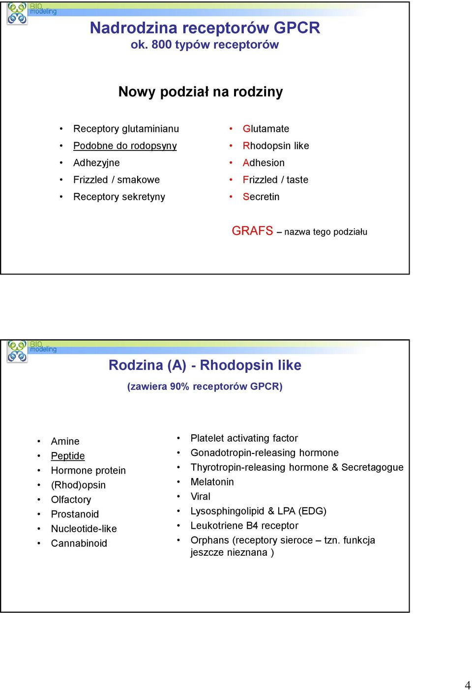 like Adhesion Frizzled / taste Secretin GRAFS nazwa tego podziału Rodzina (A) - Rhodopsin like (zawiera 90% receptorów GPCR) Amine Peptide Hormone protein