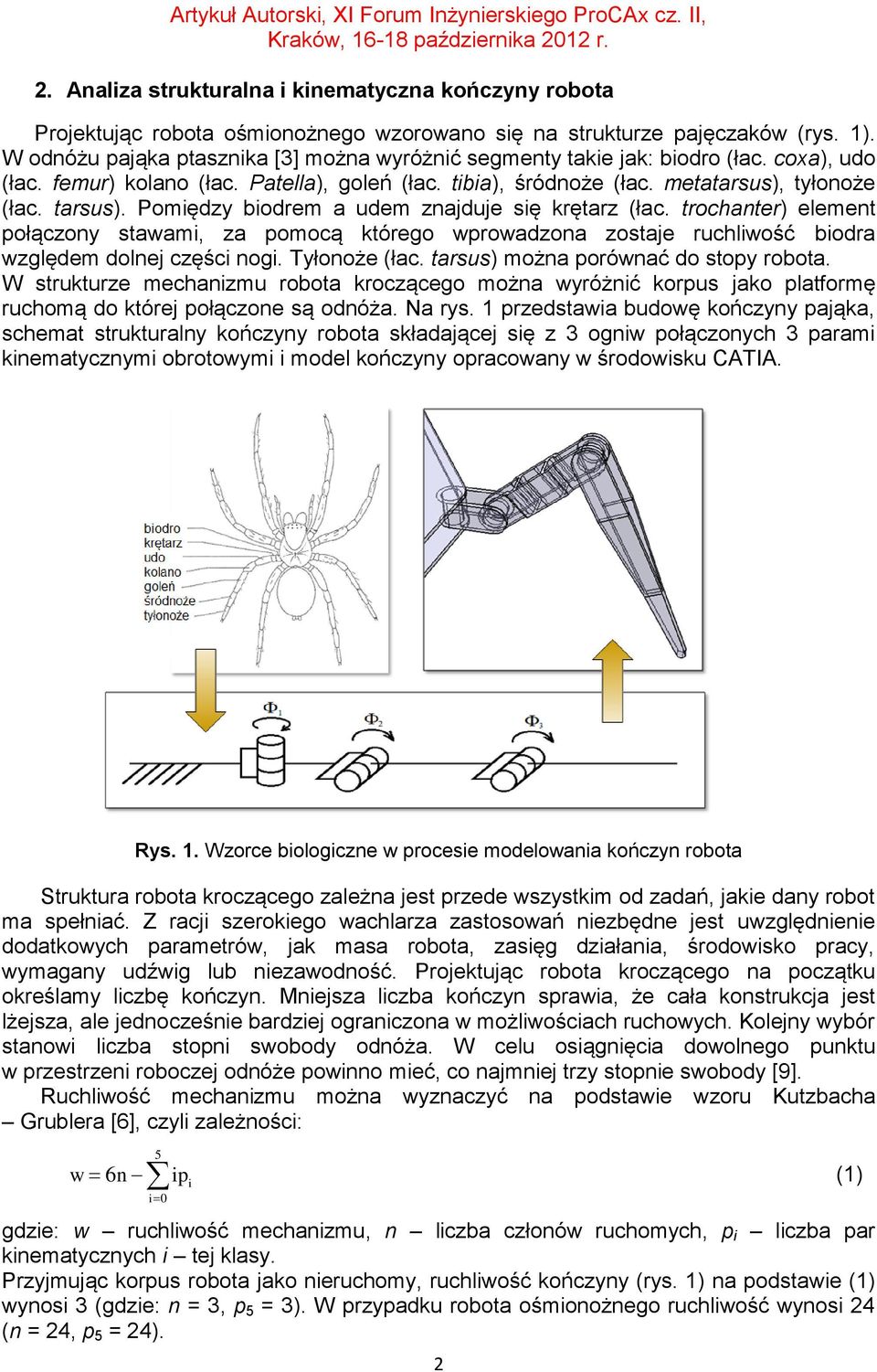 trochanter) element połączony stawam, za pomocą którego wprowadzona zostaje ruchlwość bodra względem dolnej częśc nog. Tyłonoże (łac. tarsus) można porównać do stopy robota.