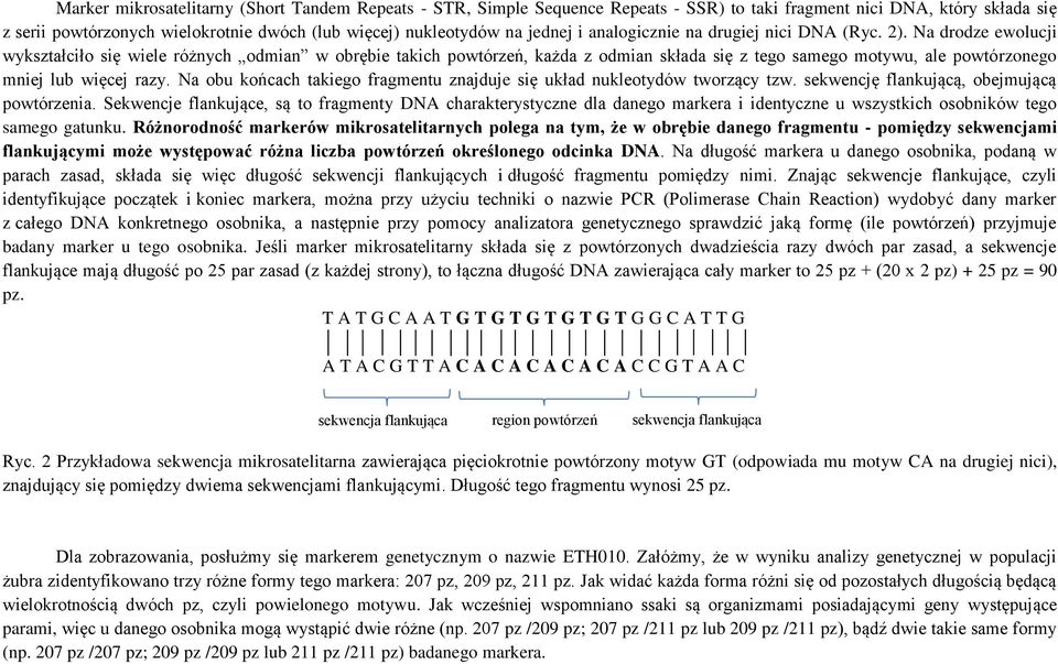 Na drodze ewolucji wykształciło się wiele różnych odmian w obrębie takich powtórzeń, każda z odmian składa się z tego samego motywu, ale powtórzonego mniej lub więcej razy.