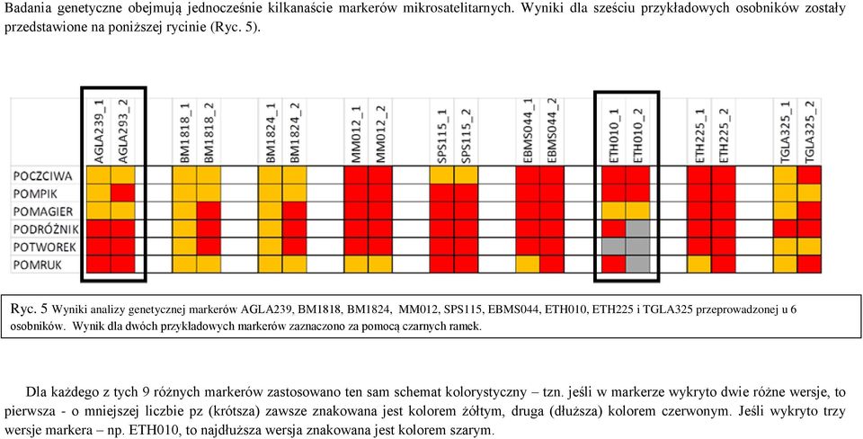 Wynik dla dwóch przykładowych markerów zaznaczono za pomocą czarnych ramek. Dla każdego z tych 9 różnych markerów zastosowano ten sam schemat kolorystyczny tzn.