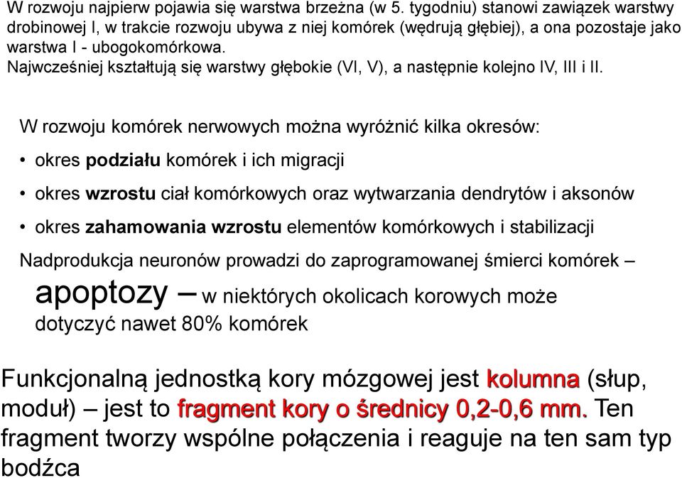Najwcześniej kształtują się warstwy głębokie (VI, V), a następnie kolejno IV, III i II.