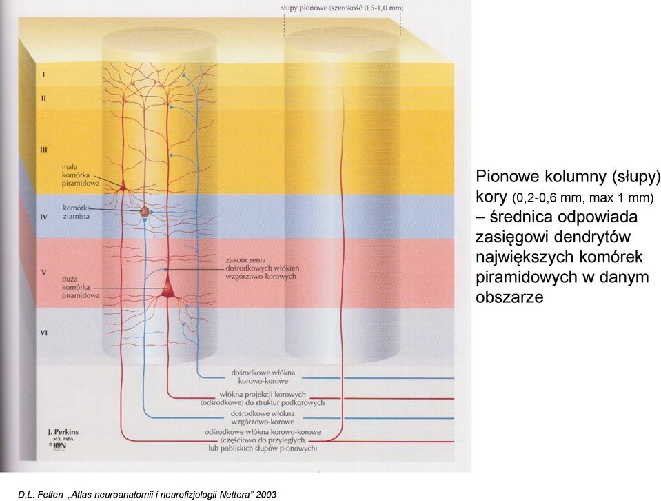 mm, max 1 mm) średnica odpowiada zasięgowi