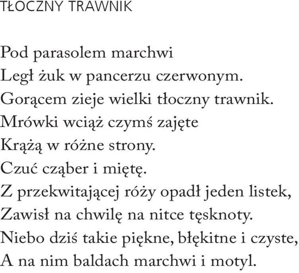 Mrówki wciąż czymś zajęte Krążą w różne strony. Czuć cząber i miętę.