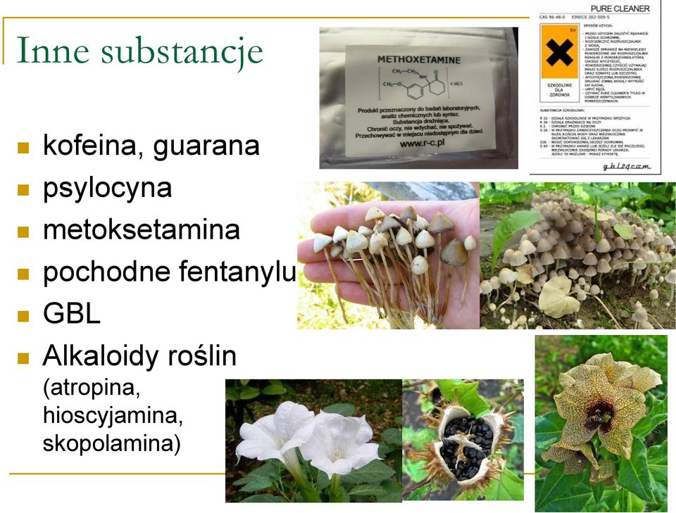 fentanylu GBL Alkaloidy roślin