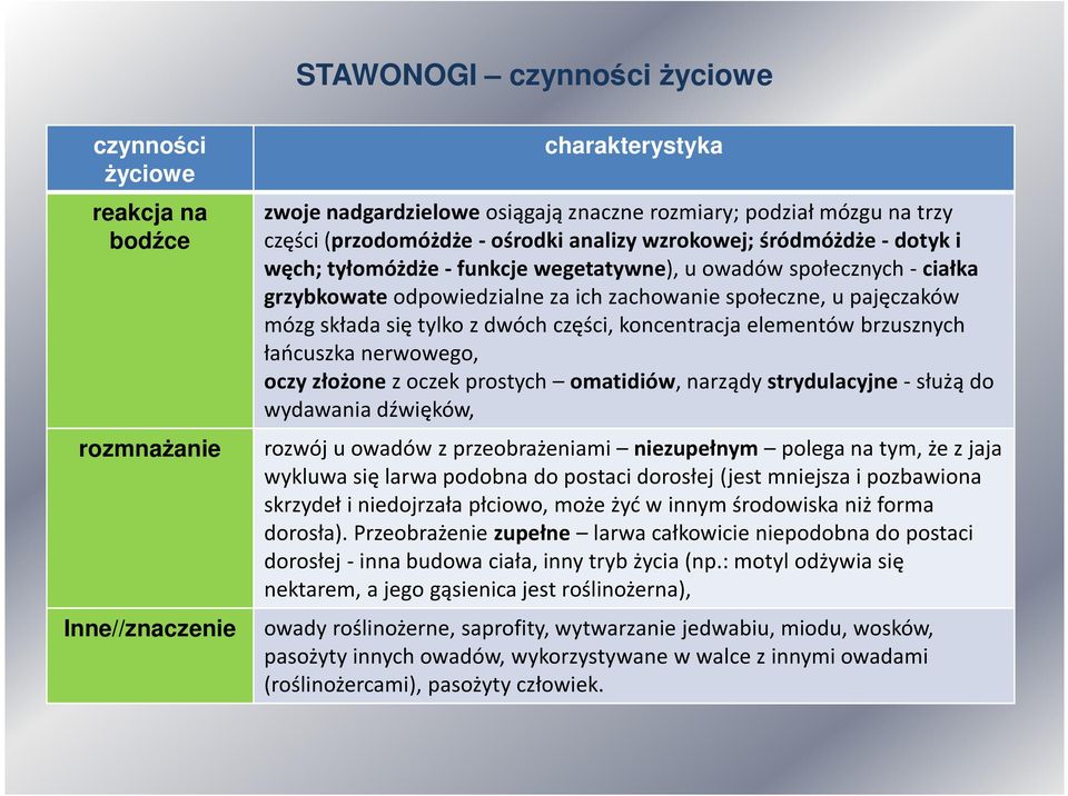 tylko z dwóch części,koncentracja elementów brzusznych łańcuszka nerwowego, oczy złożone z oczek prostych omatidiów, narządy strydulacyjne-służą do wydawania dźwięków, rozwój u owadów z