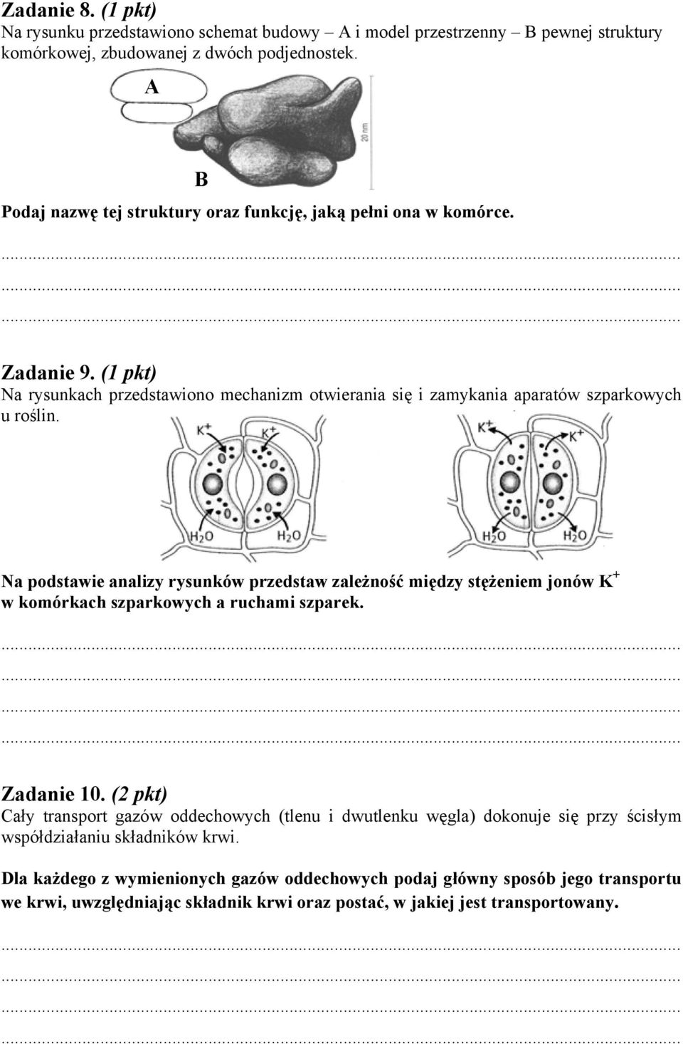 Na podstawie analizy rysunków przedstaw zależność między stężeniem jonów K + w komórkach szparkowych a ruchami szparek. Zadanie 10.