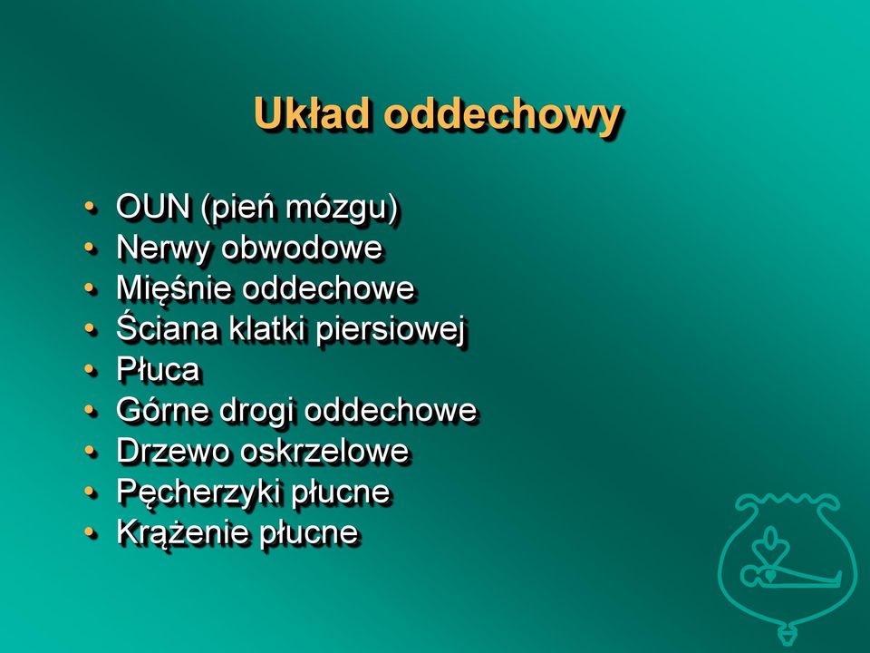 piersiowej Płuca Górne drogi oddechowe