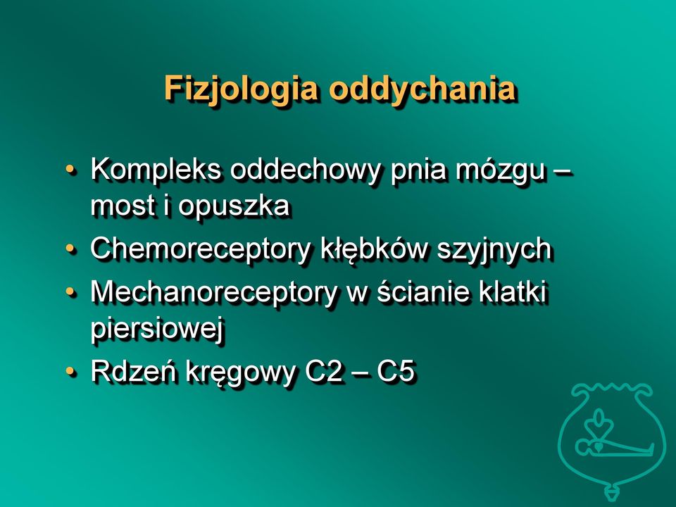 kłębków szyjnych Mechanoreceptory w