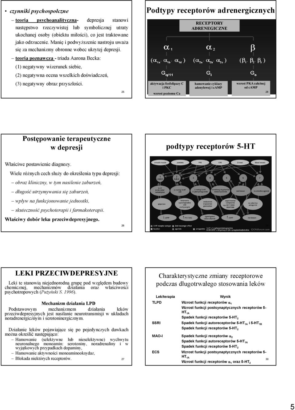 Podtypy receptorów adrenergicznych RECEPTORY ADRENEGICZNE teoria poznawcza- triada Aarona Becka: (1) negatywny wizerunek siebie, (2) negatywna ocena wszelkich doświadczeń, (3) negatywny obraz