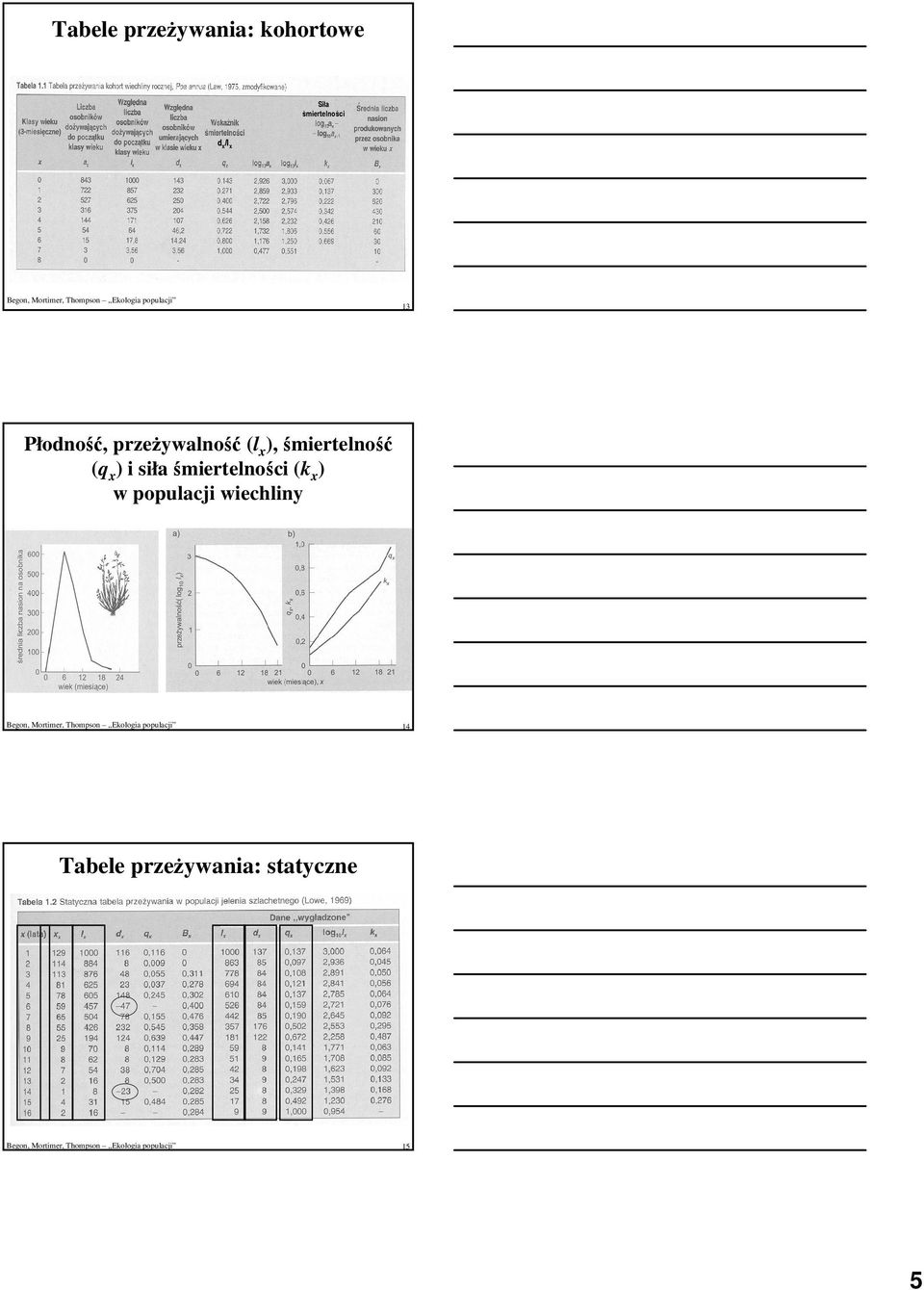 i siła śmiertelności (k x ) w populacji wiechliny Begon, Mortimer, Thompson