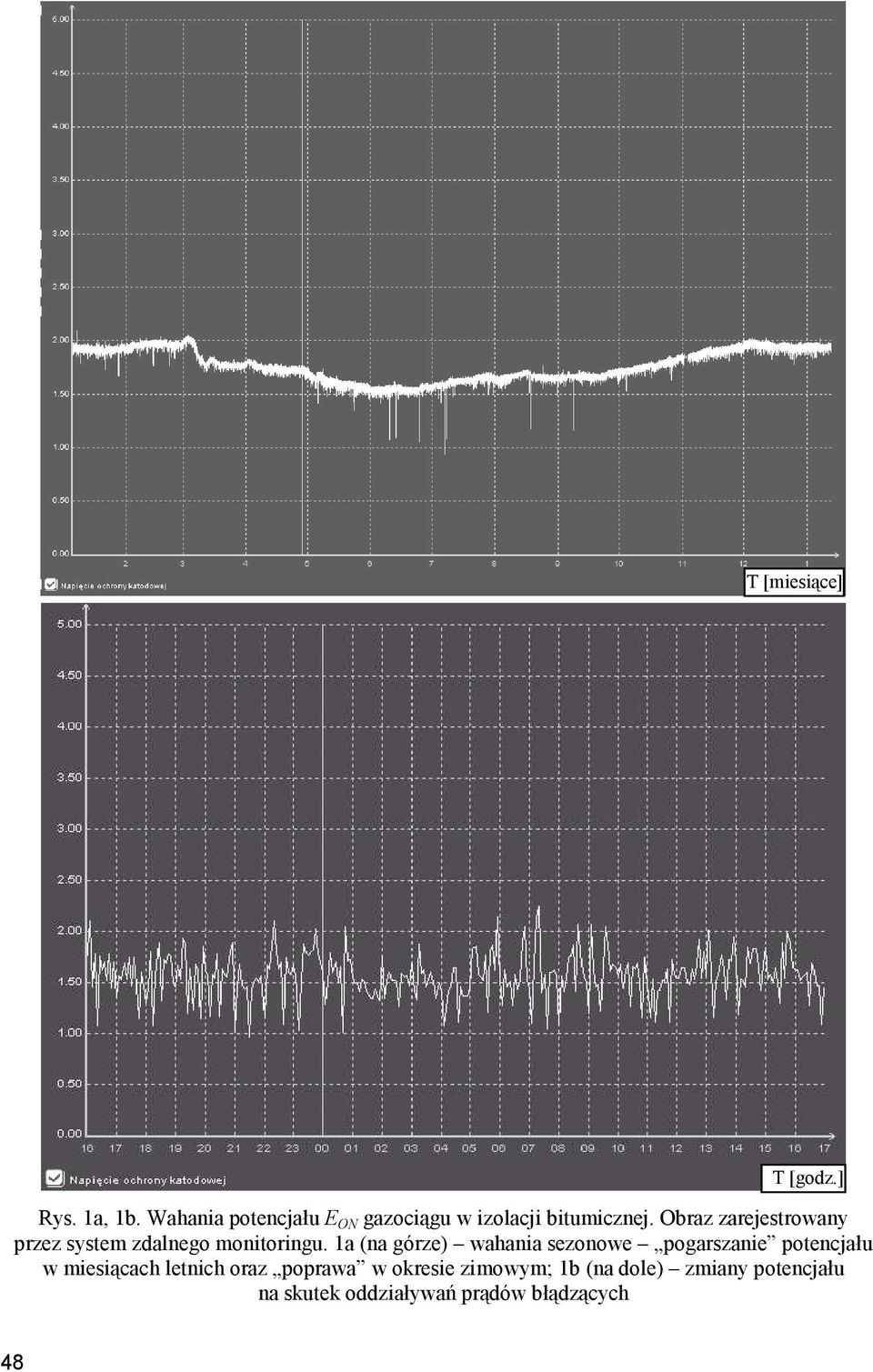 Obraz zarejestrowany przez system zdalnego monitoringu.