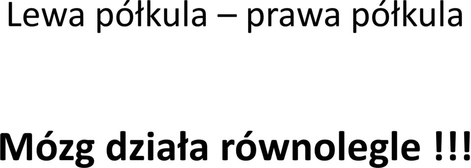 półkula Mózg