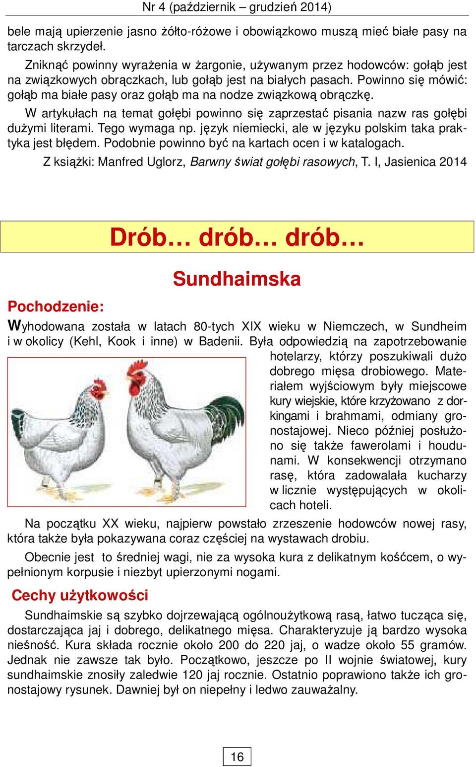 Powinno się mówić: gołąb ma białe pasy oraz gołąb ma na nodze związkową obrączkę. W artykułach na temat gołębi powinno się zaprzestać pisania nazw ras gołębi duŝymi literami. Tego wymaga np.