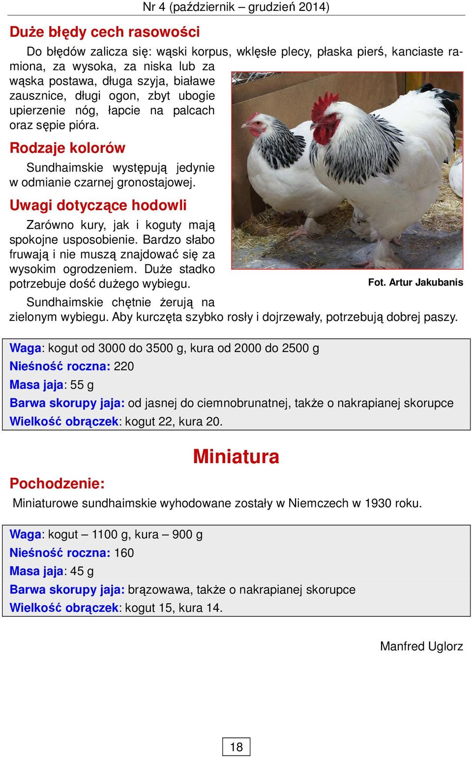 Uwagi dotyczące hodowli Zarówno kury, jak i koguty mają spokojne usposobienie. Bardzo słabo fruwają i nie muszą znajdować się za wysokim ogrodzeniem. DuŜe stadko potrzebuje dość duŝego wybiegu.