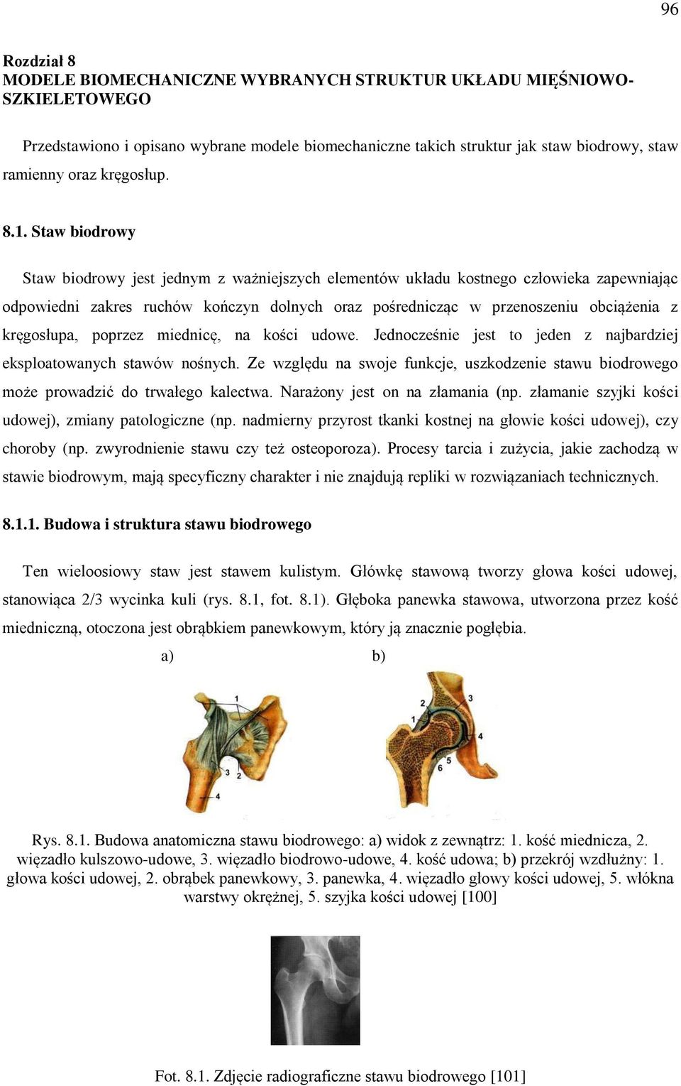 Staw biodrowy Staw biodrowy jest jednym z ważniejszych elementów układu kostnego człowieka zapewniając odpowiedni zakres ruchów kończyn dolnych oraz pośrednicząc w przenoszeniu obciążenia z