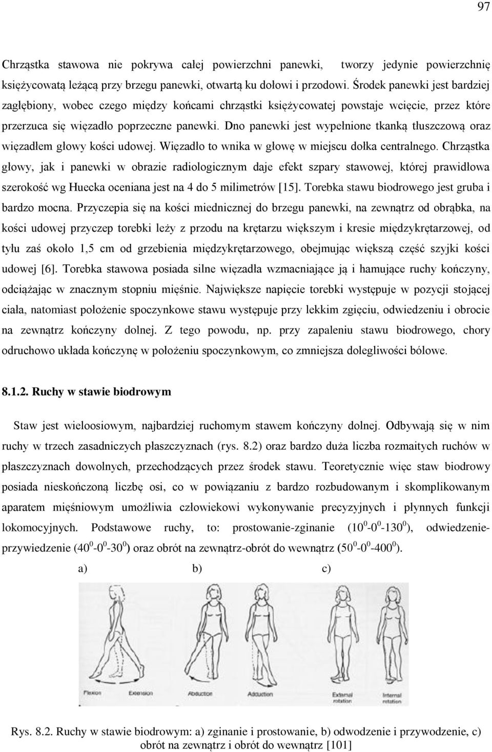 Dno panewki jest wypełnione tkanką tłuszczową oraz więzadłem głowy kości udowej. Więzadło to wnika w głowę w miejscu dołka centralnego.