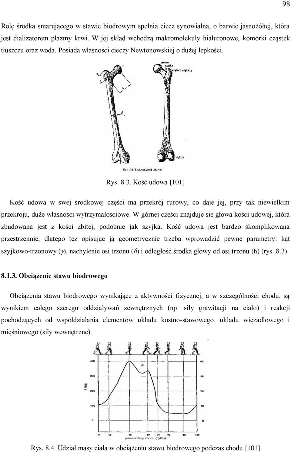 Kość udowa [101] Kość udowa w swej środkowej części ma przekrój rurowy, co daje jej, przy tak niewielkim przekroju, duże własności wytrzymałościowe.