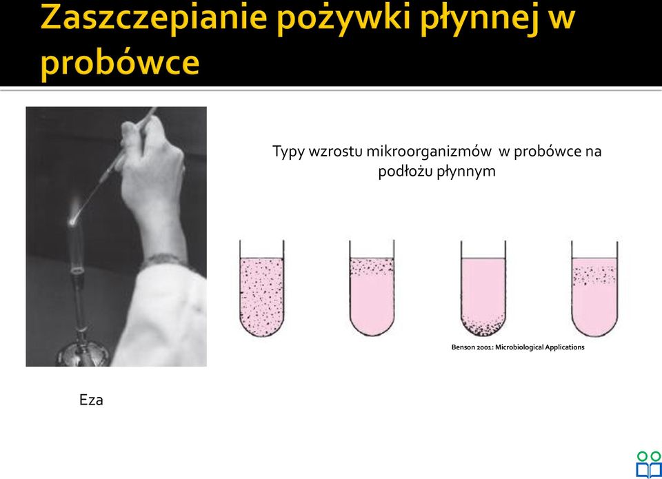 probówce na podłożu