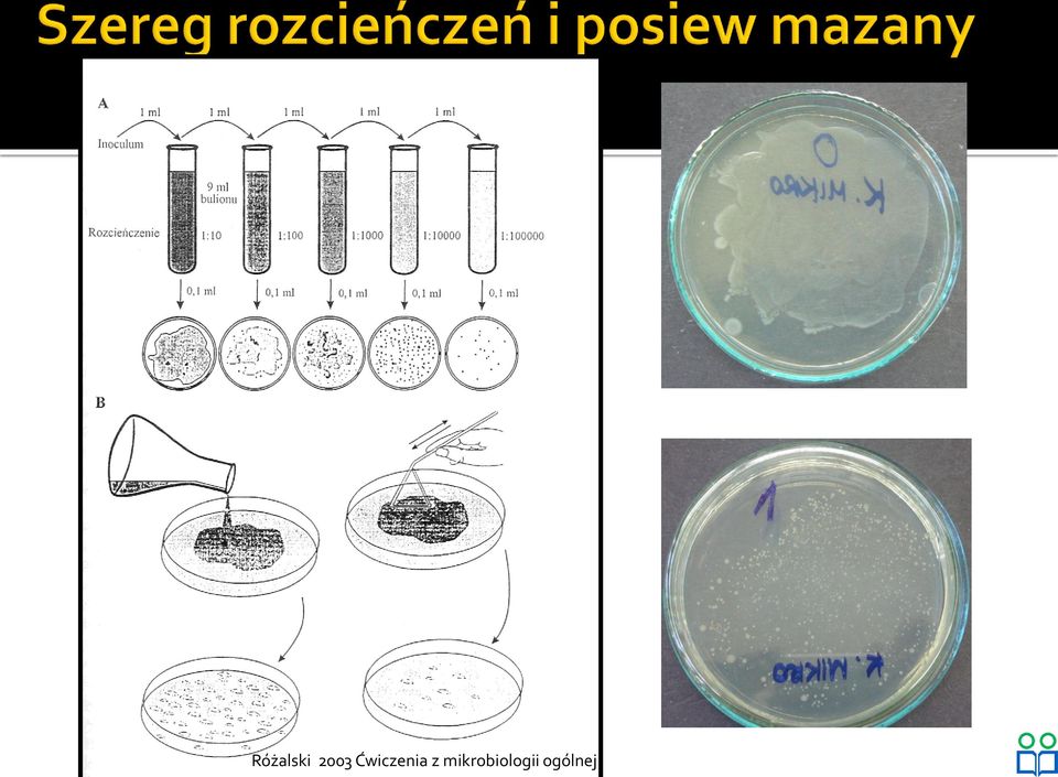 Ćwiczenia z