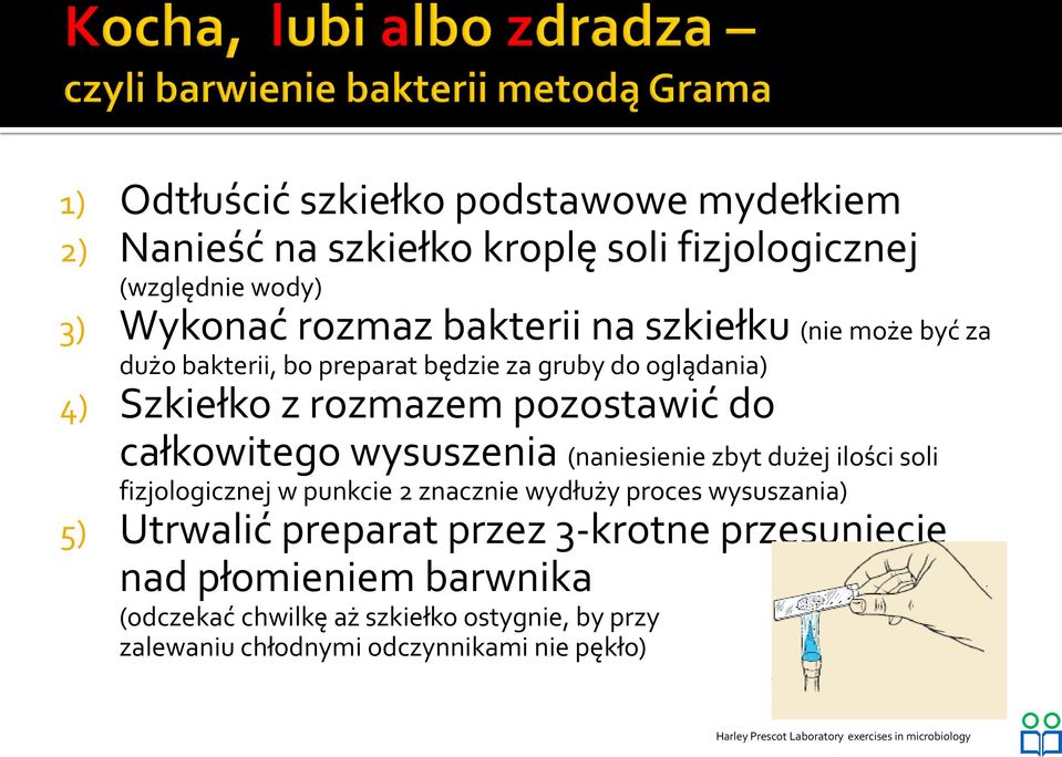 zbyt dużej ilości soli fizjologicznej w punkcie 2 znacznie wydłuży proces wysuszania) 5) Utrwalić preparat przez 3-krotne przesunięcie nad płomieniem