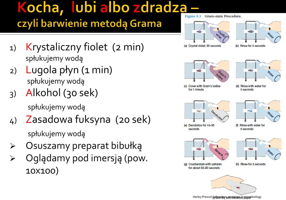 fuksyna (20 sek) spłukujemy wodą Osuszamy preparat bibułką Oglądamy