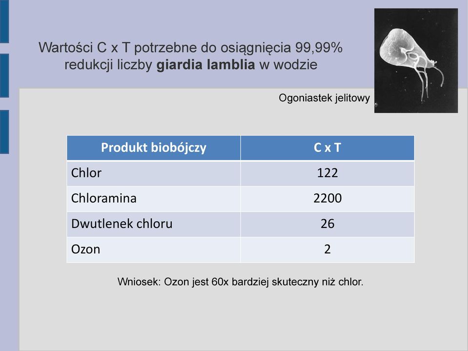 Produkt biobójczy CxT Chlor 122 Chloramina 2200 Dwutlenek